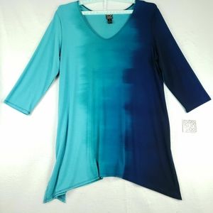 Clara Sun Woo NWT Blue Ombre   Tunic XL